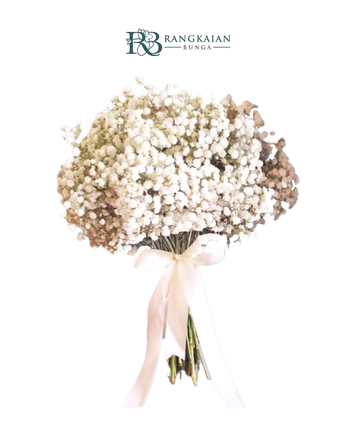 Whispering Ivory Elegance