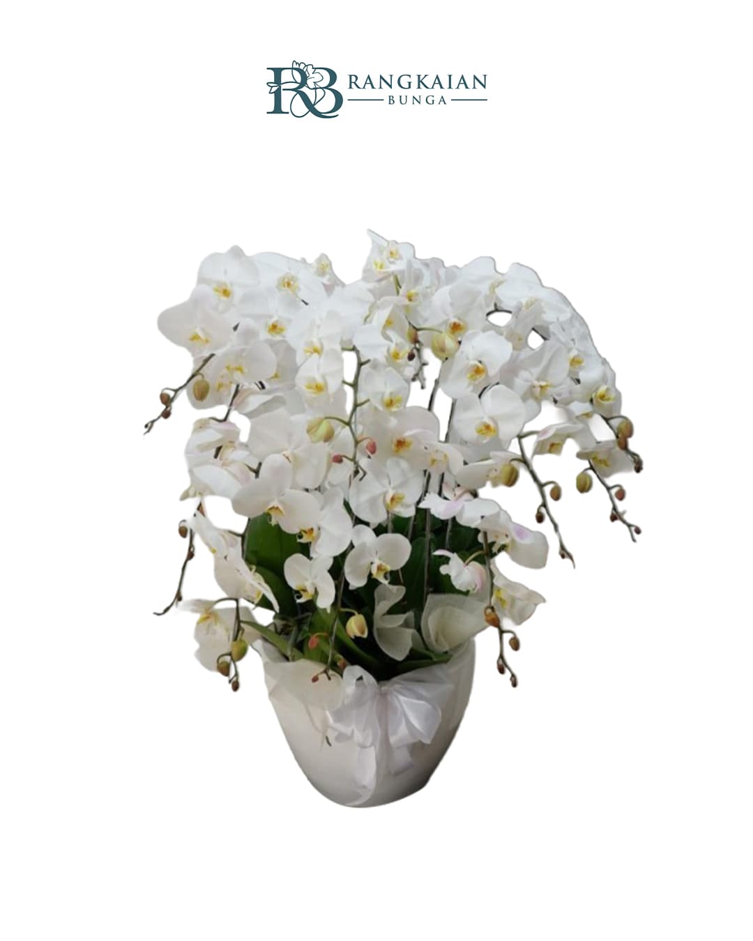 Bunga Anggrek Pot Premium Elegan 10