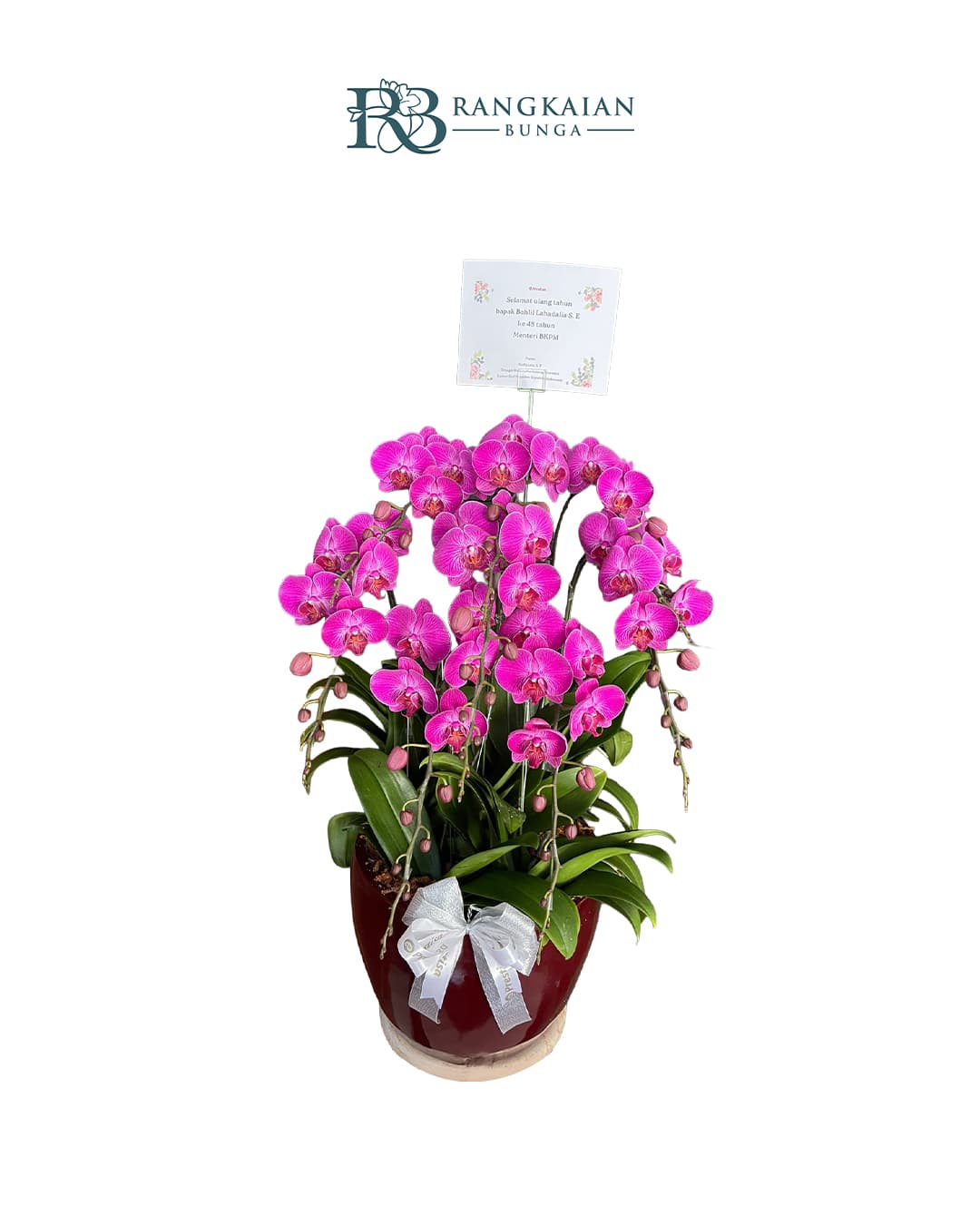 Bunga Anggrek Pot Premium Elegan 6