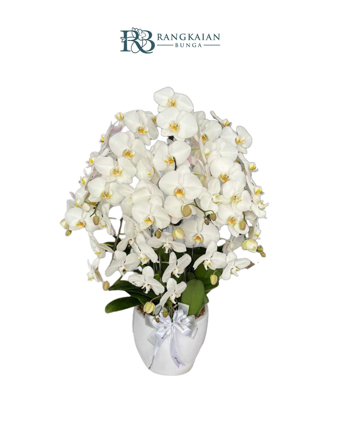 Bunga Anggrek Pot Premium Elegan 9