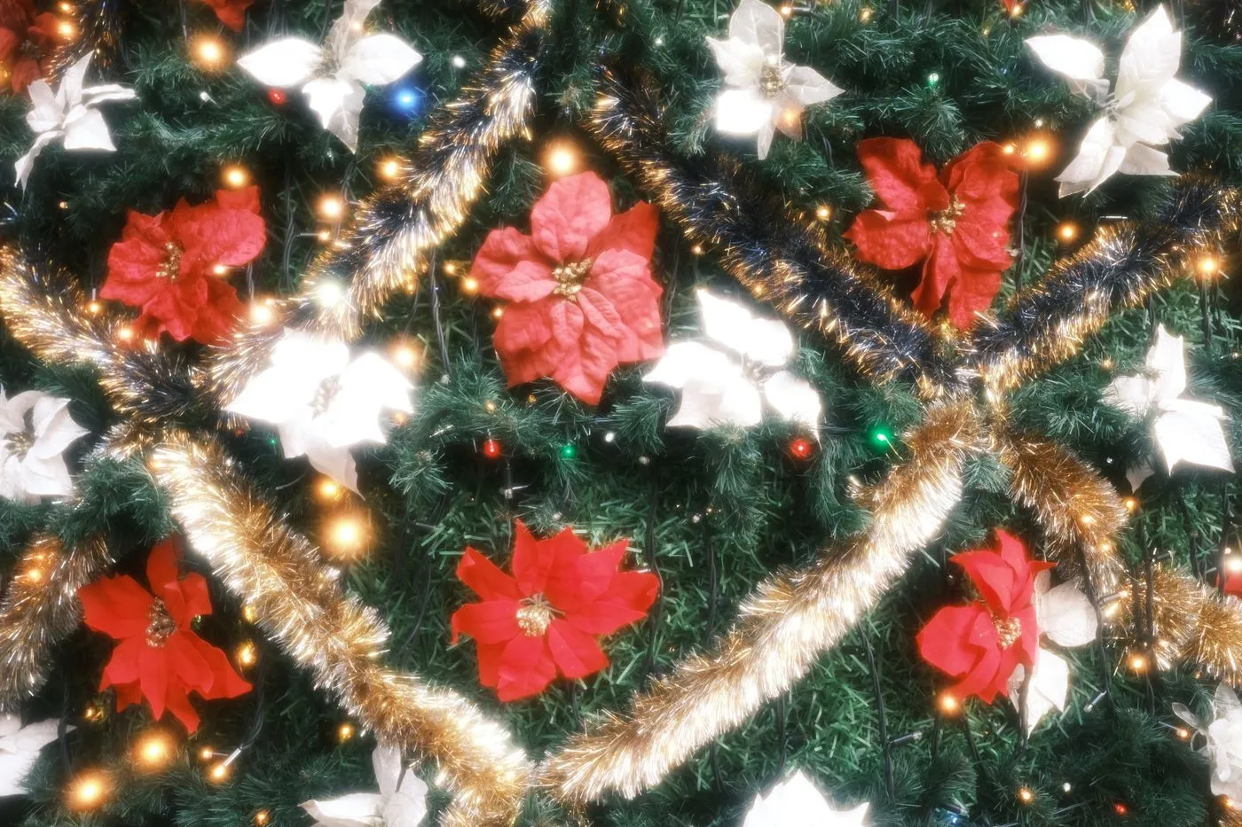12 Ide Kado & Bunga Natal untuk Orang Tersayang