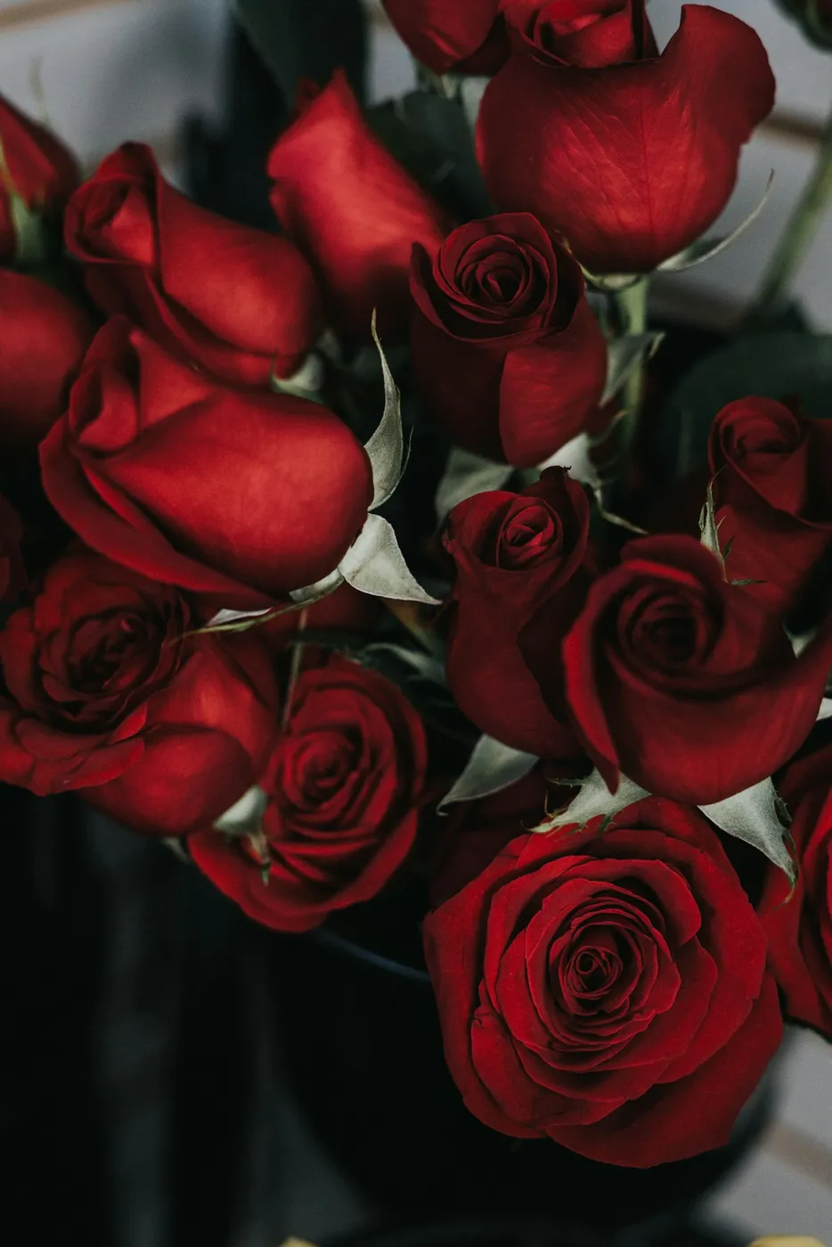 Bunga Valentine: Arti Mawar Merah & Pilihan Buket Terbaik